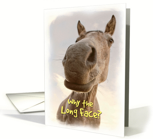 Funny Horse Encouragement card (996621)