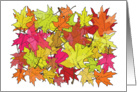 Autumn Leaves (Happy Thanksgiving) card