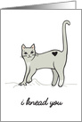 I Knead You - Meow and Purrrever - Funny Romantic Cat Anniversary card