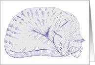 Lavender Cat Contentedly Sleeping Blank Note Card