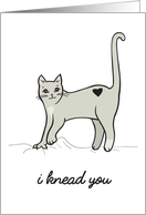 I Knead You - Meow and Purrrever - Funny Romantic Cat Anniversary card