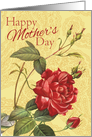 Red Rose With Buds on Yellow Happy Mother’s Day card