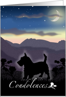 Scottish Terrier Dog...