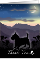 Scottish Terrier Dog...