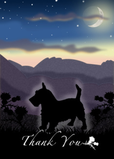 Scottish Terrier Dog...