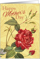 Red Rose With Buds on Yellow Happy Mother’s Day card