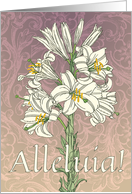 Alleluia Madonna Lily Easter card