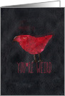 You’re Weird, I like you. Red Bird Friendship card