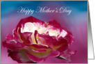 Happy MOther’s Day Red and white Rose card