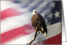 Thank You for your Military Service, Eagle and Flag card