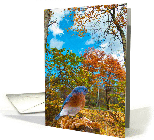 I'ts a bluebird day Get Well Soon card (988663)