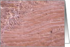 Abstraction of Water card