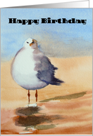 Seagull- Happy Birthday card