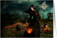 Samhain's night