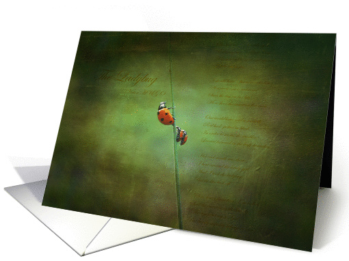 Poem for ladybugs card (992127)