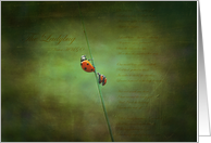 Poem for ladybugs card