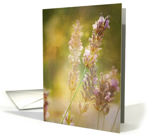 Summer Memory card (992137)