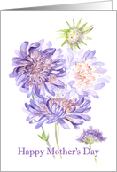 meadow flowers Mothers Day card