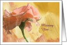 Missing you Rose card