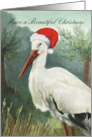 Beautiful Christmas Stork with Santa Hat in Wetlands card