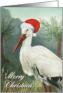 Merry Christmas with Whimsical Beautiful White Stork in Santa Hat card