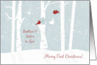 Merry First Christmas to Brother and Sister in Law with Love Birds card