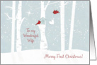 Merry First Christmas to My Wonderful Wife with Love Birds and Heart card