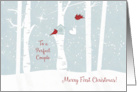 Merry First Christmas to a Perfect Couple with Love Birds under Stars card