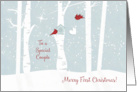 Merry First Christmas to a Special Couple with Love Birds at Night card