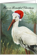 Beautiful Christmas Stork with Santa Hat in Wetlands card