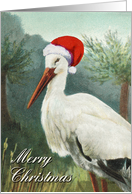 Merry Christmas with Whimsical Beautiful White Stork in Santa Hat card