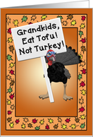 Funny For Grandchildren at Thanksgiving with Turkey Who Says Eat Tofu card