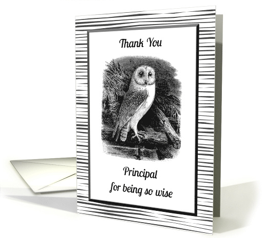 Thank You School Principal for Being So Wise with Owl Design card