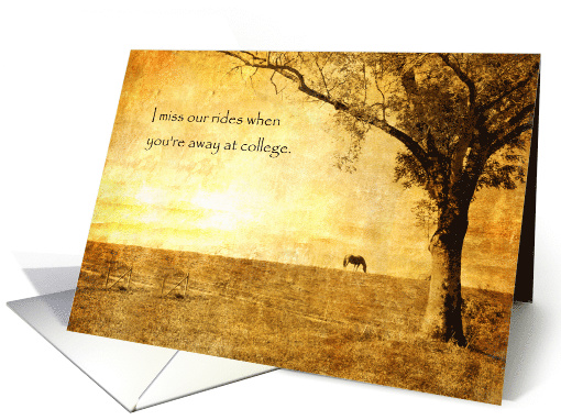 Thinking of You at College from Pet Horse in Pasture at Sunset card