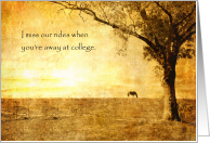 Thinking of You at College from Pet Horse in Pasture at Sunset card