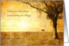 Thinking of You at College from Pet Horse in Pasture at Sunset card