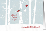 Merry First Christmas to Sister and Brother in Law with Love Birds card