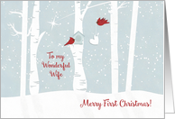 Merry First Christmas to My Wonderful Wife with Love Birds and Heart card
