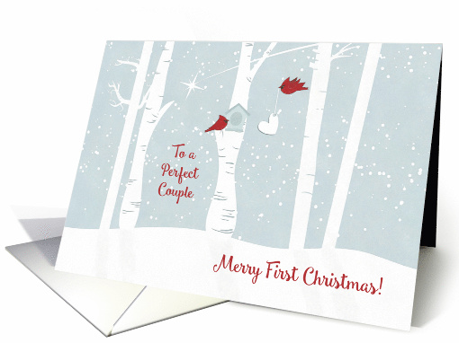 Merry First Christmas to a Perfect Couple with Love Birds... (1504400)