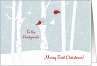 Merry First Christmas to the Newlyweds with Love Birds and Night Scene card