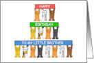 Happy Birthday to My Little Brother Cute Cartoon Cats Holding Banners card