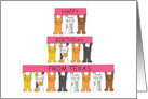 Happy Birthday from Texas Cartoon Cats Standing Holding Up Banners card