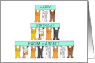 Happy Birthday from Hawaii Cartoon Cats Holding Up Banners card