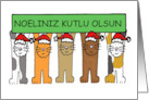 Turkish Happy Christmas Noeliniz Kutlu Olsun Cartoon Cats in Hats card