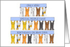 May 24th Birthday Cute Cartoon Cats Holding Up Banners card