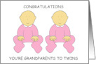 Congratulations You’re Grandparents to Twin Girls Cute Babies in Pink card