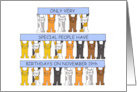 19th November Birthday Cartoon Cats Holding Banners Up card