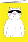 You Are My Sunshine Cartoon Cat in Shades Friendship Card