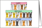 Happy Birthday Naomi with cartoon cats. card