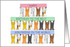 Happy Birthday Girlfriend Cute Cartoon Cats Holding Up Banners card